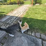 Rozane Wzgorze * Bystrzyca Kłodzka