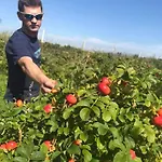 Rozane Wzgorze * Bystrzyca Kłodzka