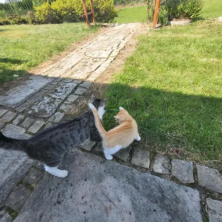 Rozane Wzgorze * Bystrzyca Kłodzka