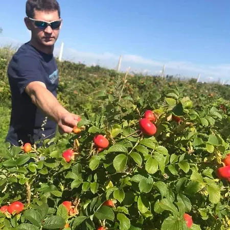 Rozane Wzgorze * Bystrzyca Kłodzka