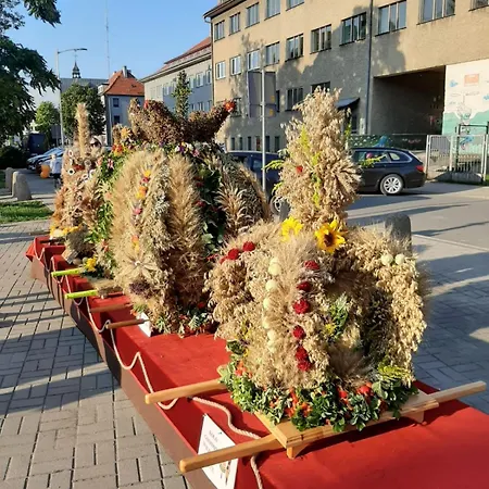 Rozane Wzgorze