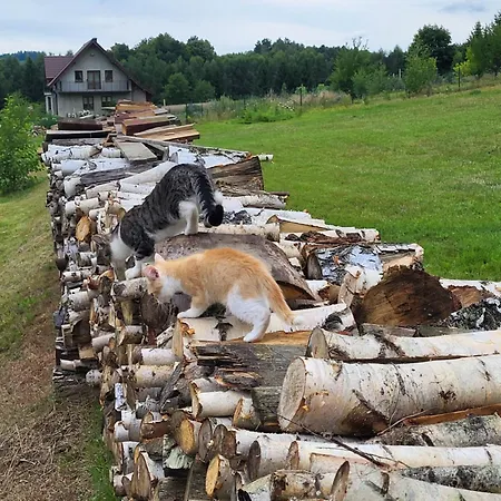 Rozane Wzgorze Bystrzyca Kłodzka