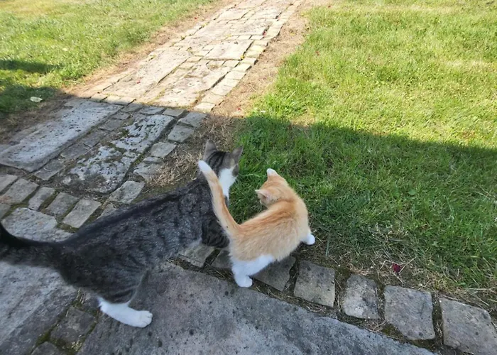 Rozane Wzgorze * Bystrzyca Kłodzka