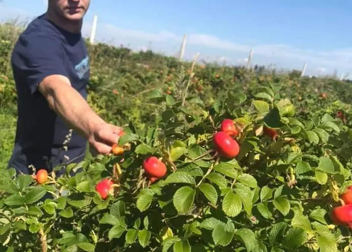 Rozane Wzgorze * Bystrzyca Kłodzka