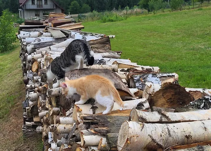 Rozane Wzgorze Bystrzyca Kłodzka